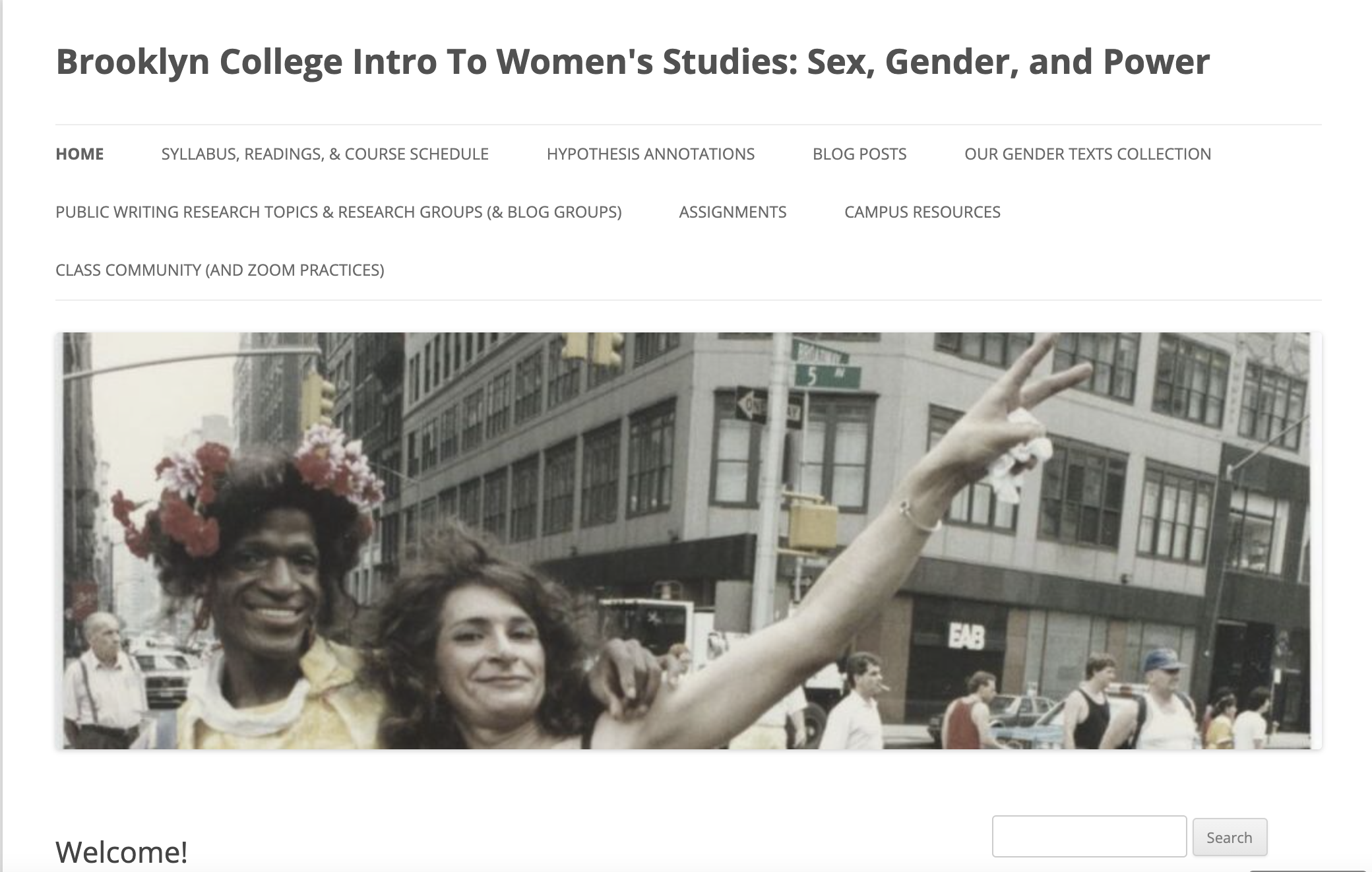 Screenshot of "intro to womens studies" course site